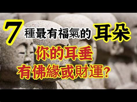 耳朵白 面相|從耳朵看面相｜5點耳朵形狀及特徵，一窺性格與運